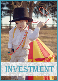 Investment icon
